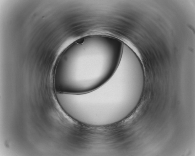 X0000095951053200801110911