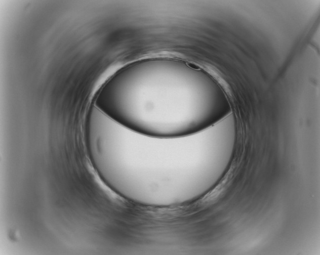 X0000095951054200801110911