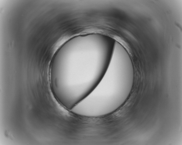 X0000095951055200801110911