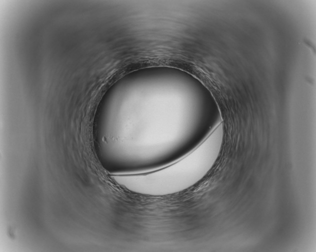 X0000095951057200801110911