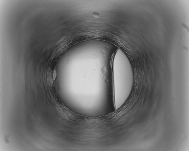 X0000095951058200801110911