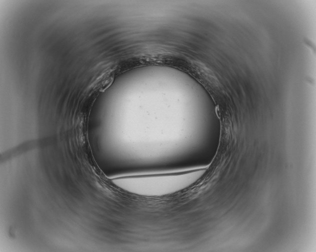 X0000095951060200801110911
