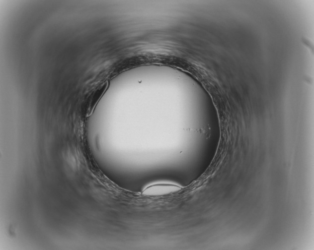X0000095951061200801110911