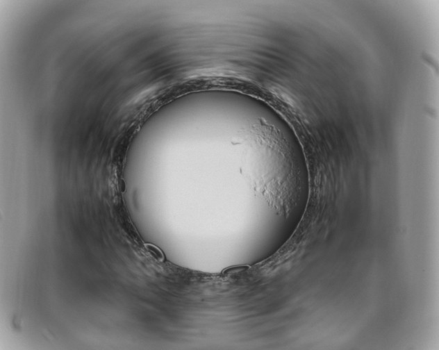 X0000095951062200801110911
