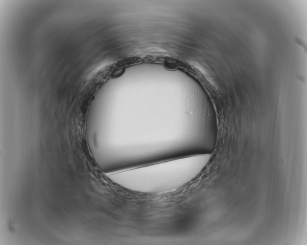 X0000095951063200801110911
