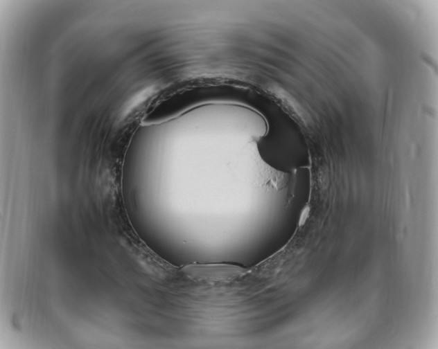 X0000095951064200801110911