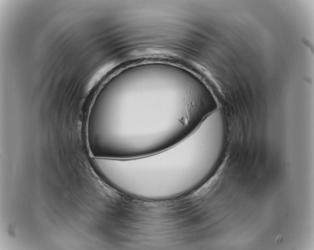 X0000095951066200801110911