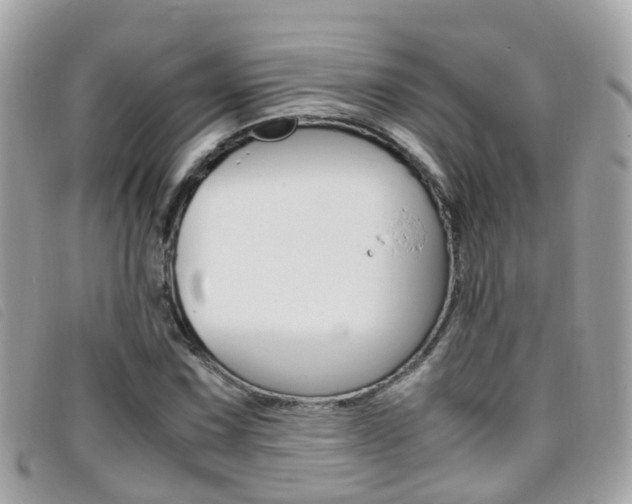 X0000095951067200801110911