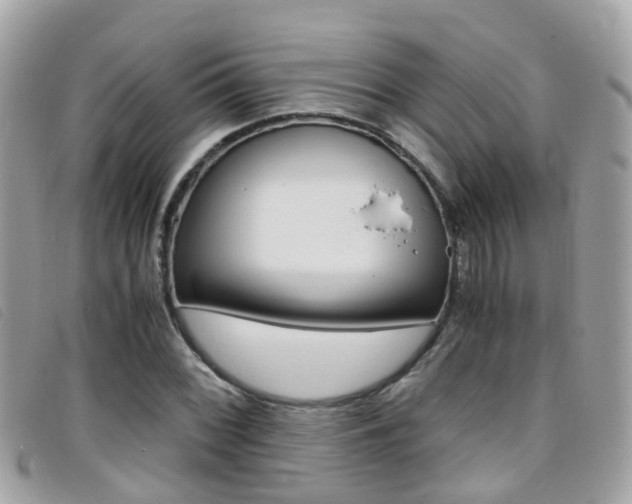 X0000095951068200801110911