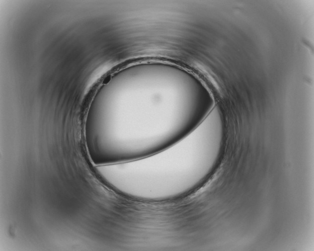 X0000095951069200801110911
