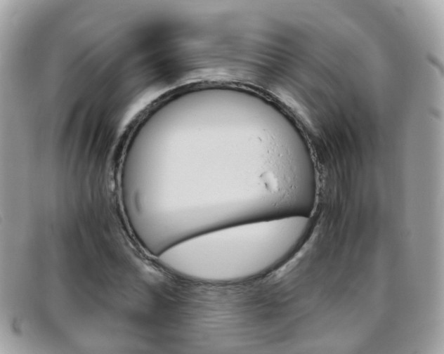 X0000095951070200801110911