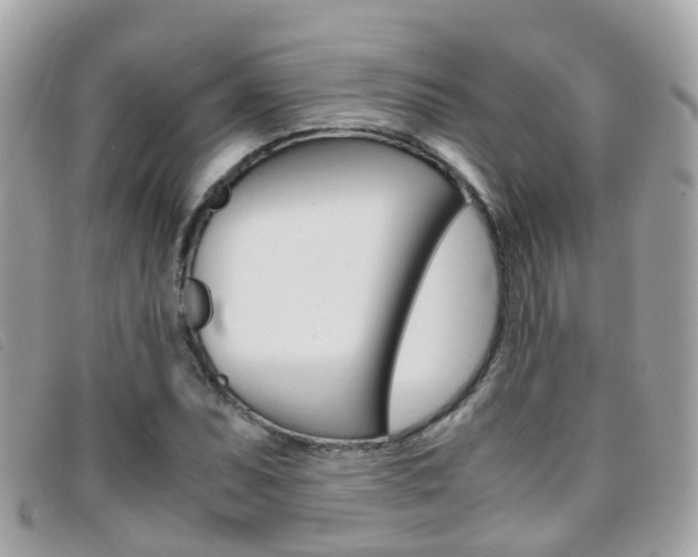 X0000095951071200801110911