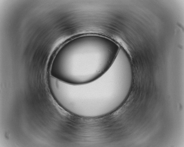 X0000095951072200801110911