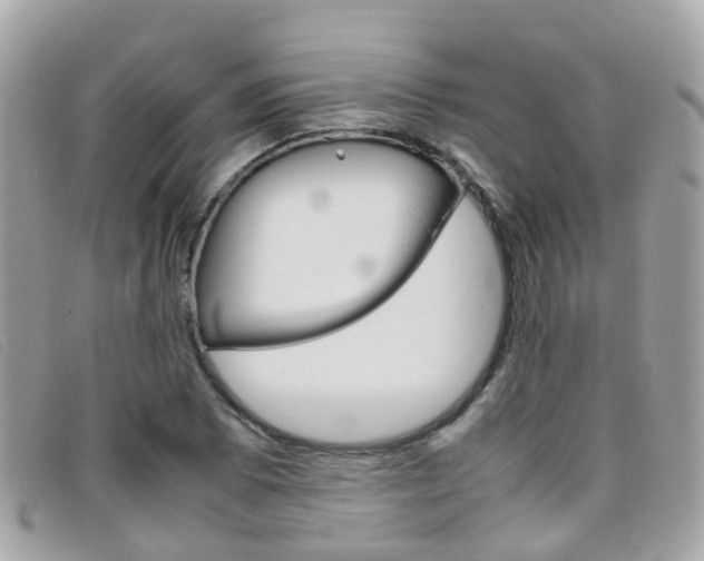 X0000095951073200801110911
