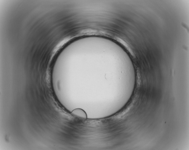 X0000095951074200801110911