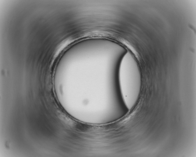 X0000095951075200801110911