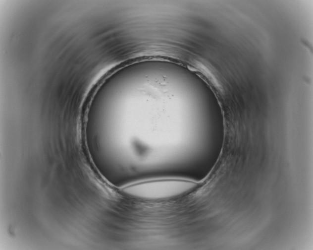 X0000095951076200801110911