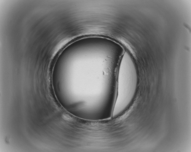 X0000095951077200801110911