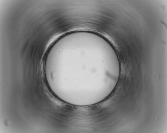 X0000095951078200801110911