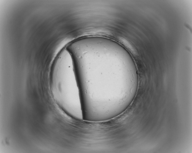 X0000095951079200801110911