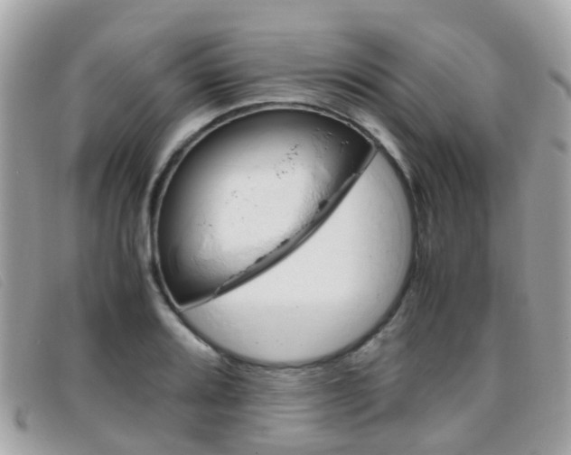 X0000095951080200801110910