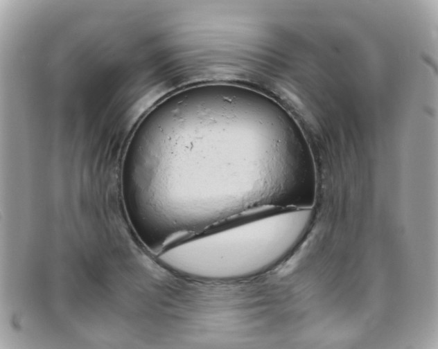 X0000095951081200801110910