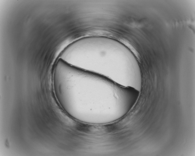 X0000095951083200801110910