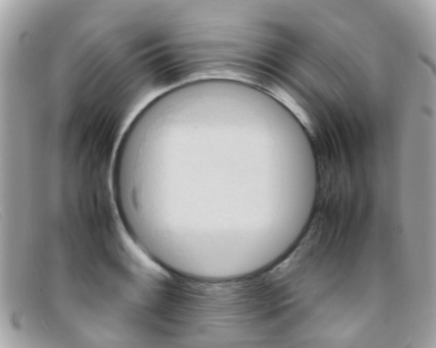 X0000095951084200801110910