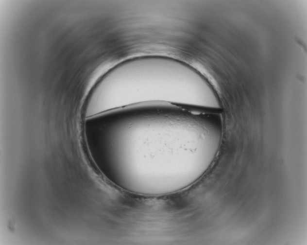 X0000095951085200801110910