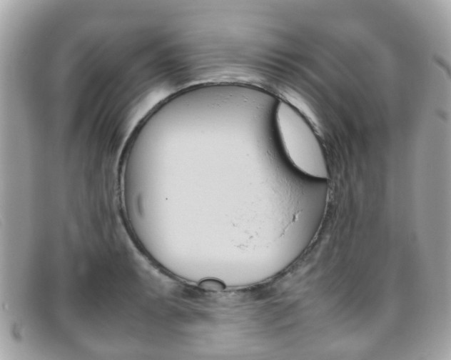 X0000095951087200801110910