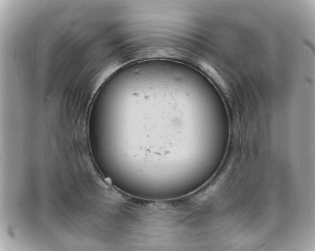 X0000095951089200801110910