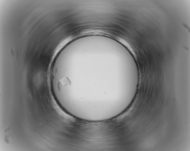 X0000095951090200801110910