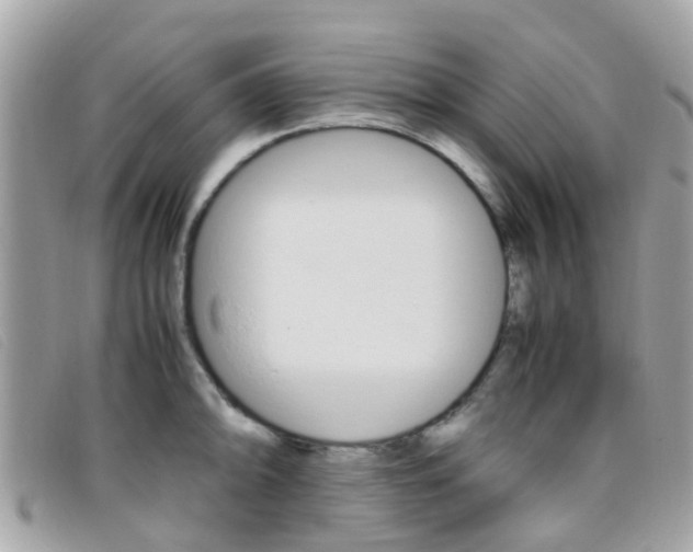 X0000095951094200801110910