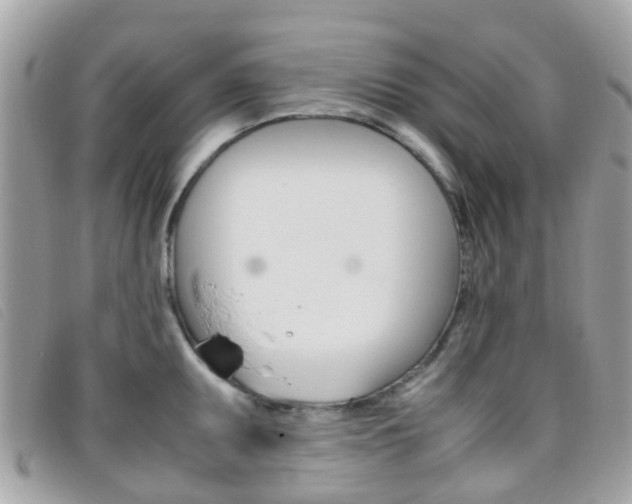 X0000095951095200801110910