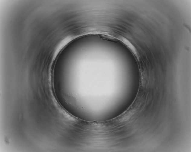 X0000095951096200801110910