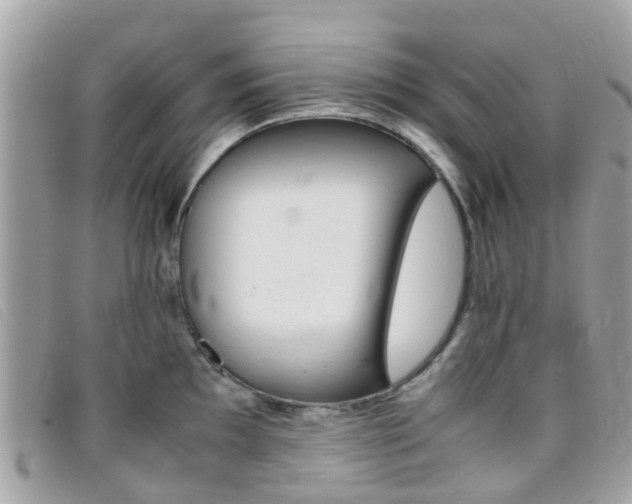 X0000095951097200801110910
