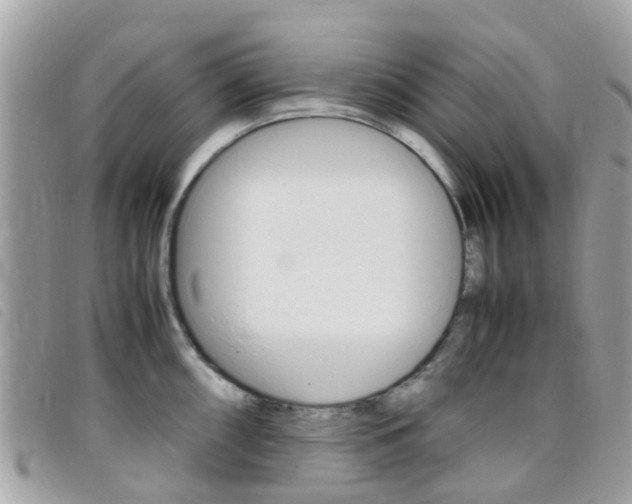 X0000095951098200801110910