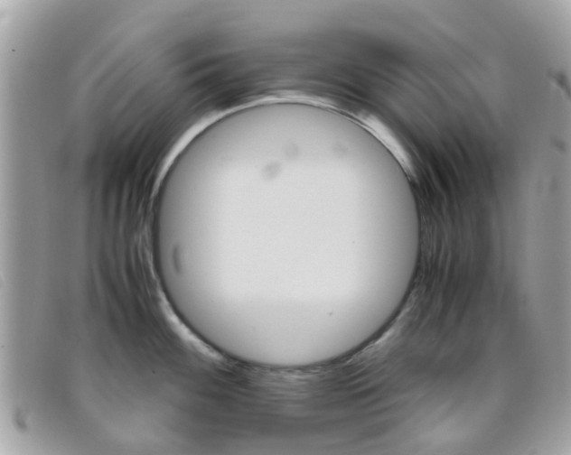 X0000095951100200801110910