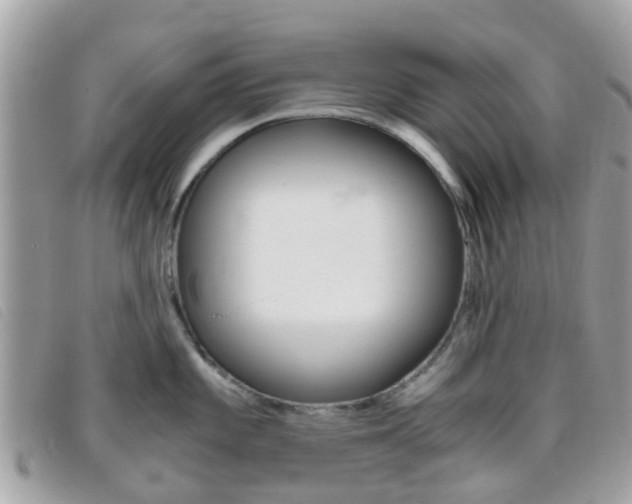 X0000095951101200801110910