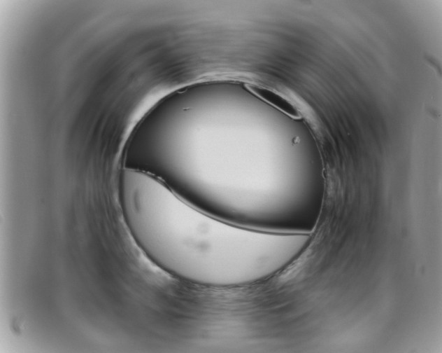 X0000095951102200801110910