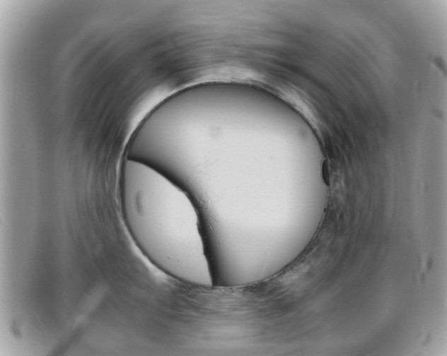X0000095951103200801110910