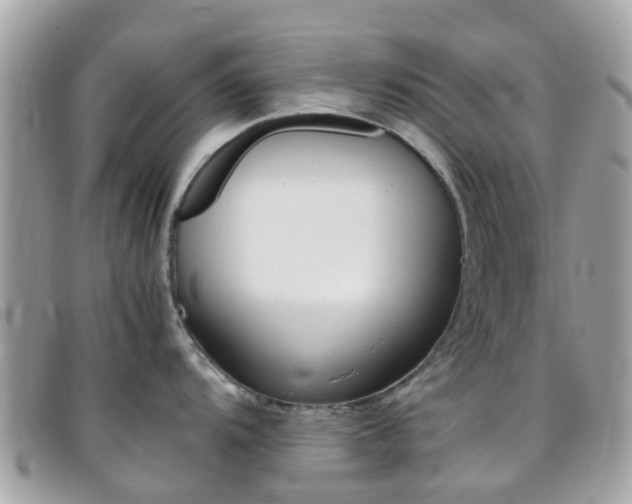 X0000095951104200801110910