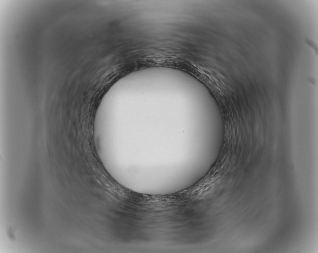 X0000095951105200801110910