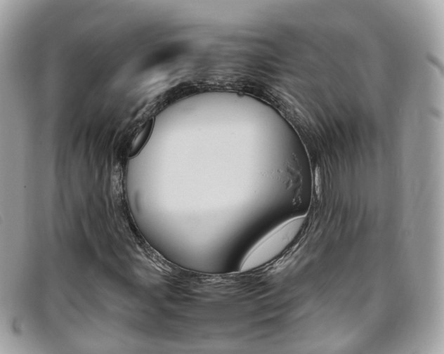 X0000095951107200801110910