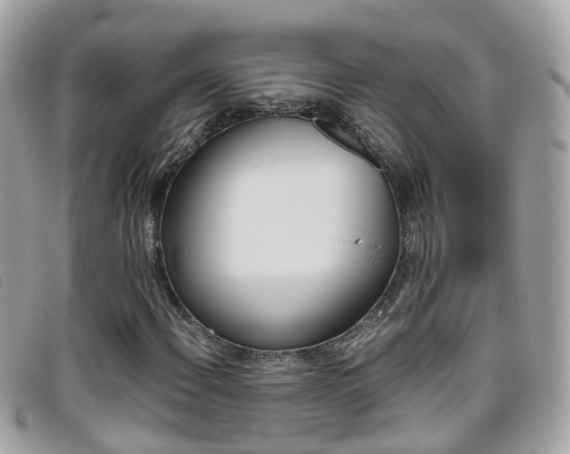 X0000095951108200801110910