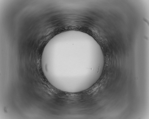 X0000095951109200801110910