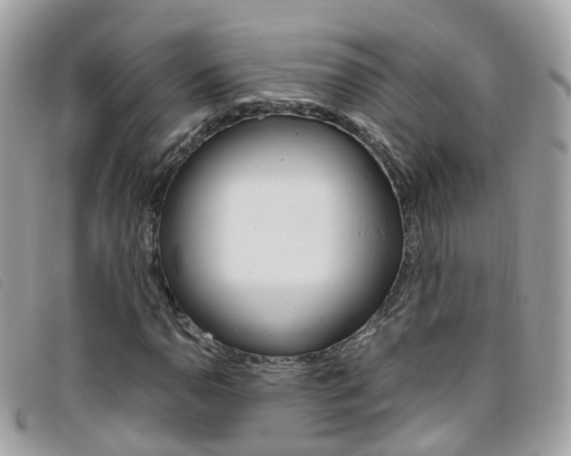 X0000095951110200801110910