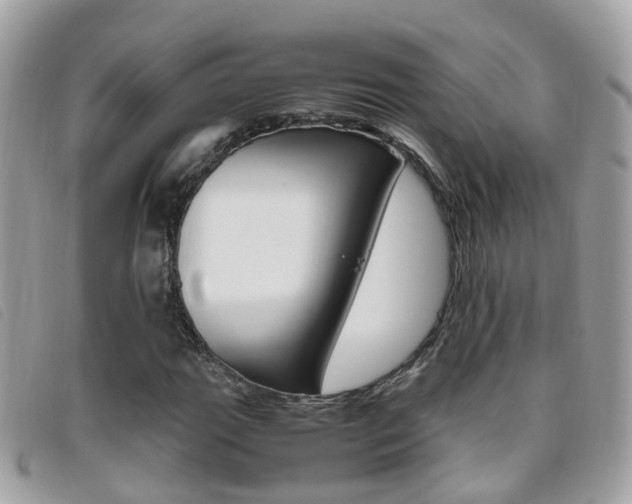 X0000095951111200801110910