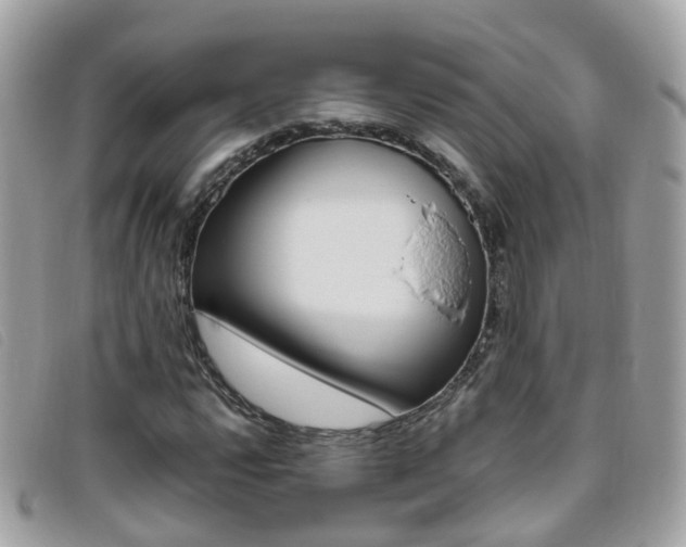 X0000095951112200801110910