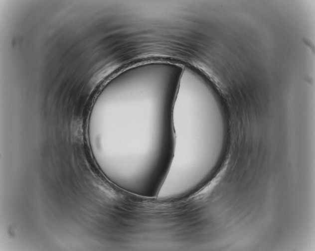 X0000095951113200801110910